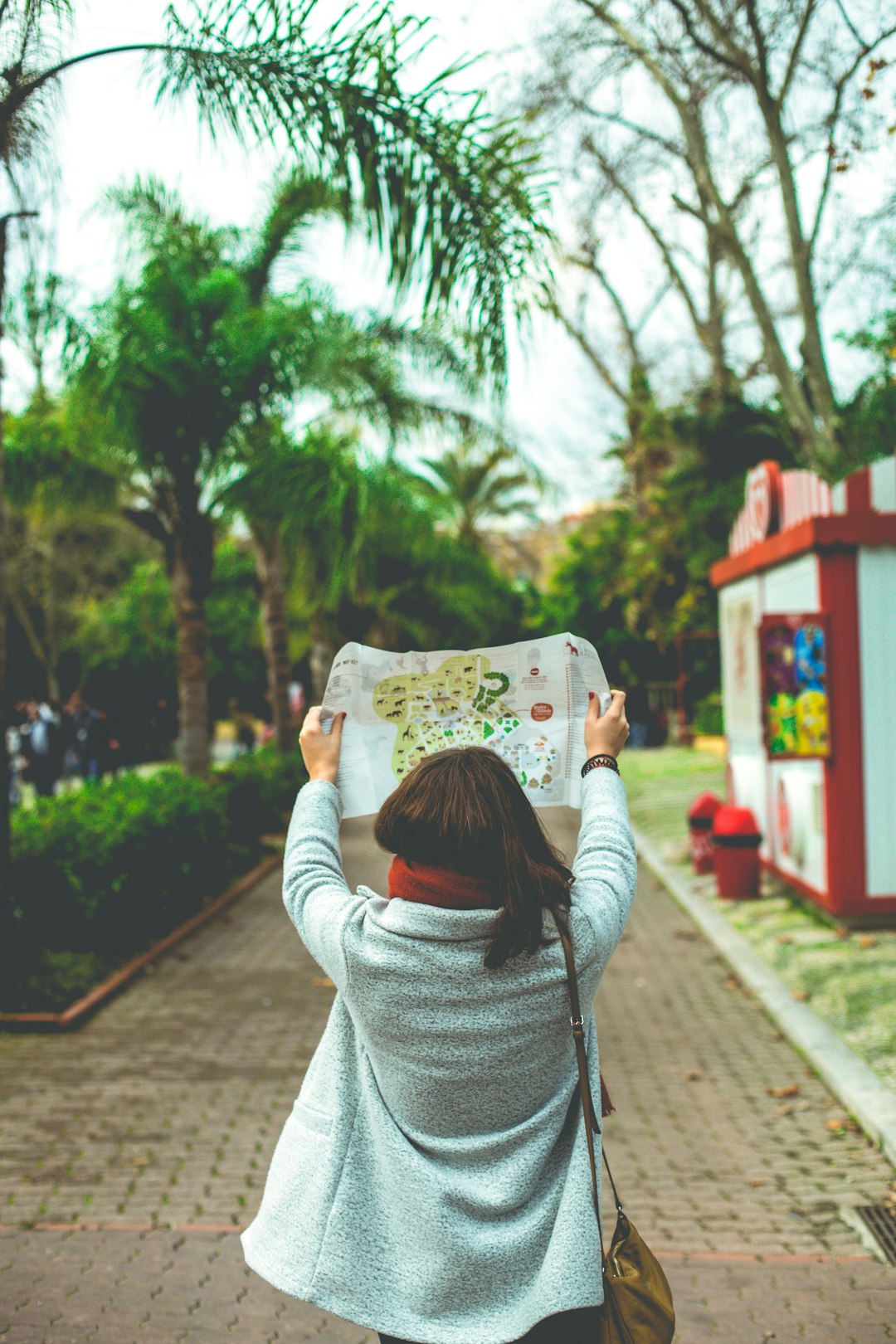 Lost in the zoo