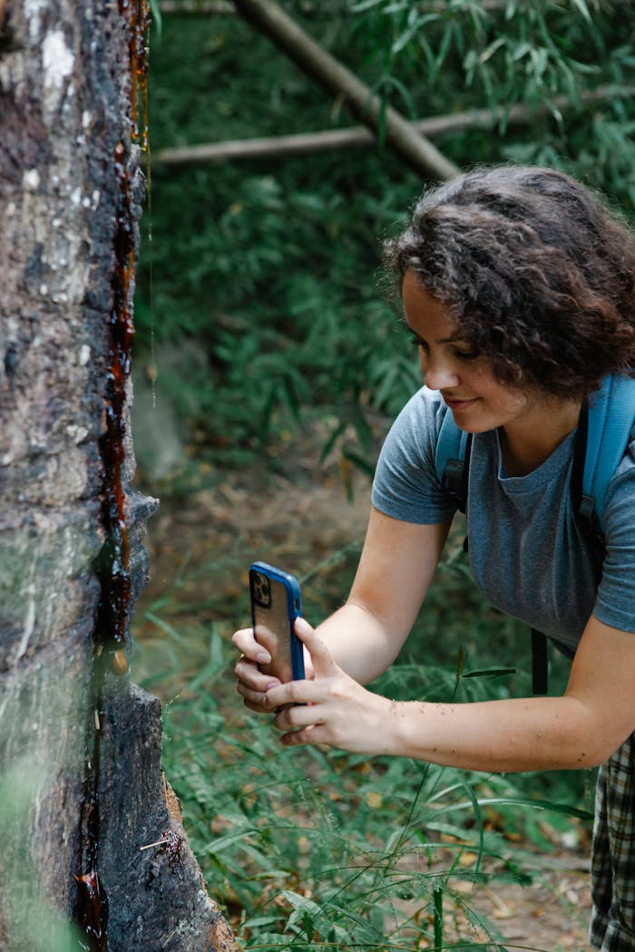 Young happy female hiker with dark curly hair in casual clothes taking photo of tree trunk on smartphone during trekking in forest